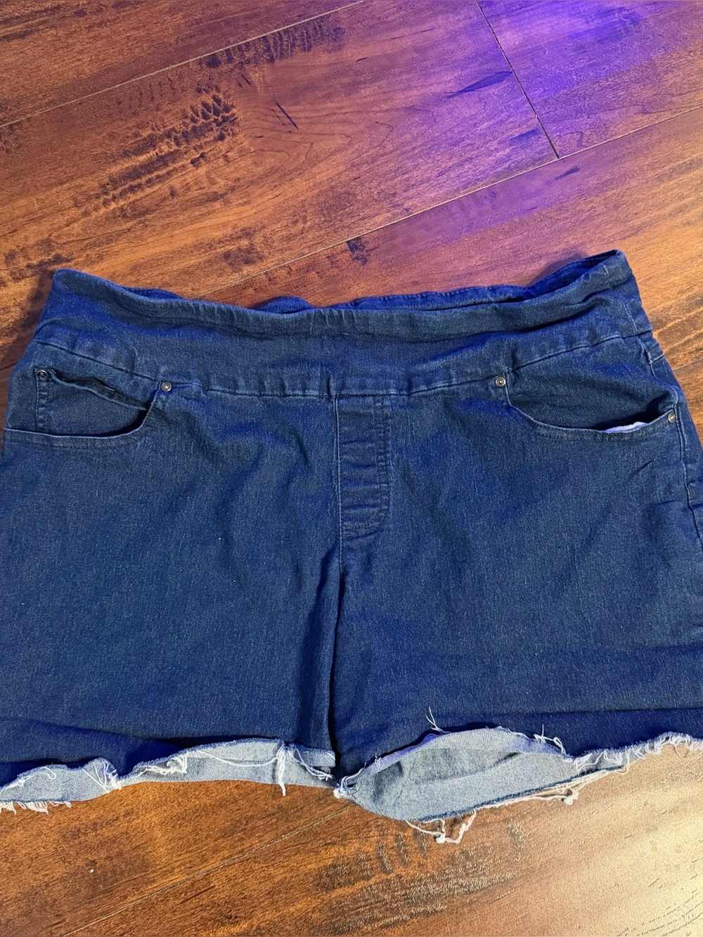 Time and Tru Dark Blue Denim Frayed Hem Shorts